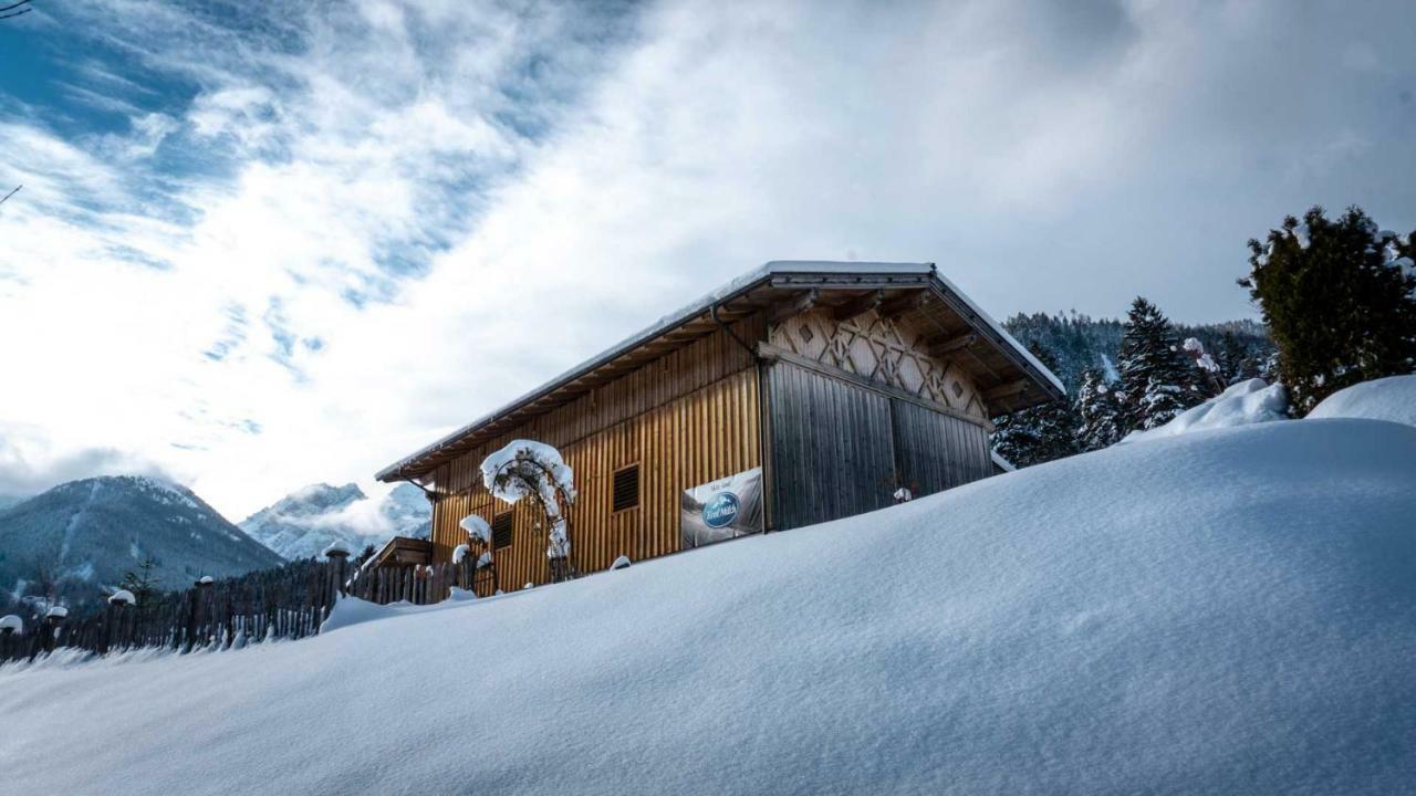 Stubaier Bauern Appartement Telfes im Stubai Eksteriør billede