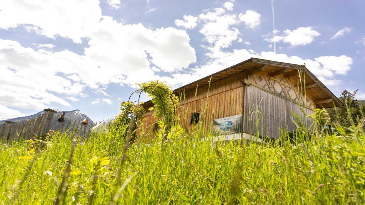 Stubaier Bauern Appartement Telfes im Stubai Eksteriør billede